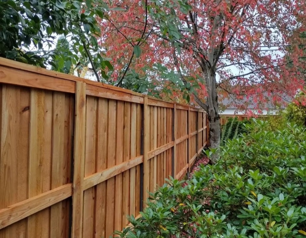 Cedar board fence with cap rail, autumn